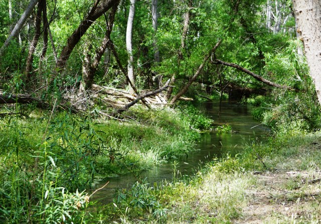 Cocospera River (Bob and Prudy Bowers)