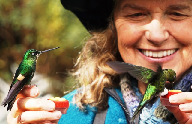 hand-feeding-hummers-at-termales