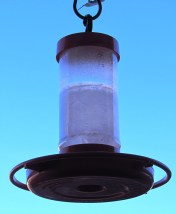 sunny-but-cold-time-for-the-microwave